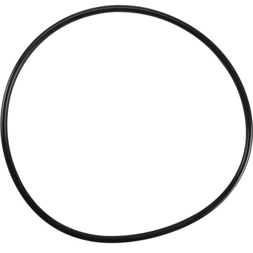 Everpure DEV3093-50 O-Ring,Housing