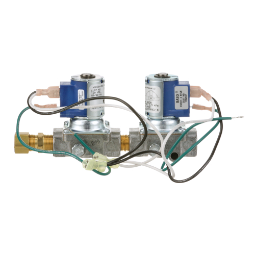 Southbend SOU1194597 Dual Solenoid Valve 120V